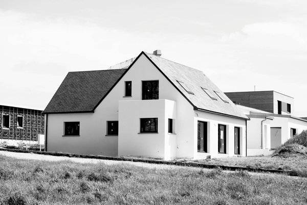 Guide Ultime pour l'Achat de Semences en Ligne : Tout ce que Vous Devez Savoir