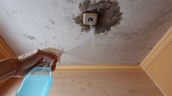 Top astuces pour éliminer les moisissures au plafond
