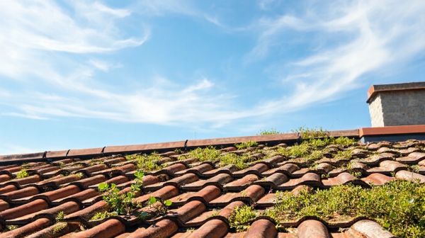 Top matériaux pour une toiture durable et performante