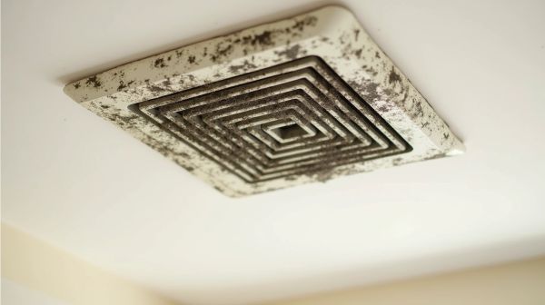 Une solution efficace pour le nettoyage des moisissures au plafond
